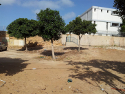 يافا: البلدية توافق على مخطط لإنشاء قاعة رياضية خاصة بمدرسة الأخوة